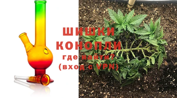 ПСИЛОЦИБИНОВЫЕ ГРИБЫ Корсаков