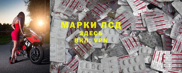 ПСИЛОЦИБИНОВЫЕ ГРИБЫ Корсаков