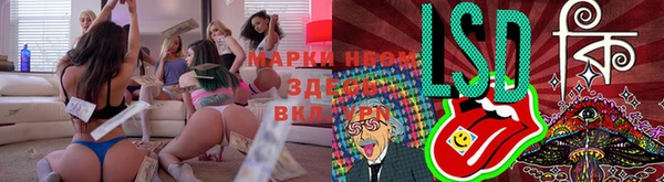 спиды Коряжма