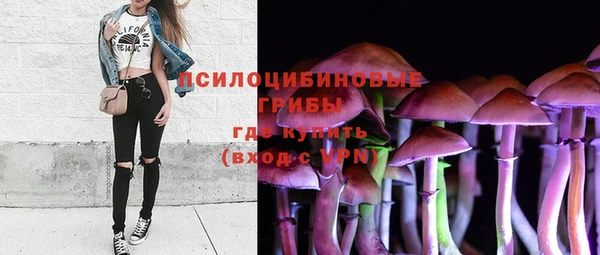 спиды Коряжма